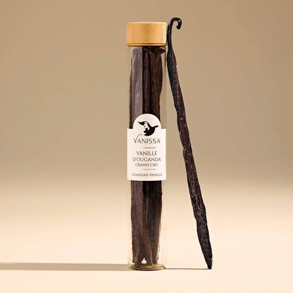Vanilės ankštys Uganda
