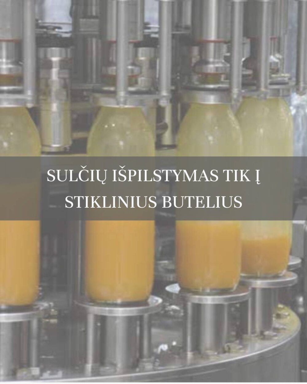 Vynuogių sulčių rinkinys - 3x250ml