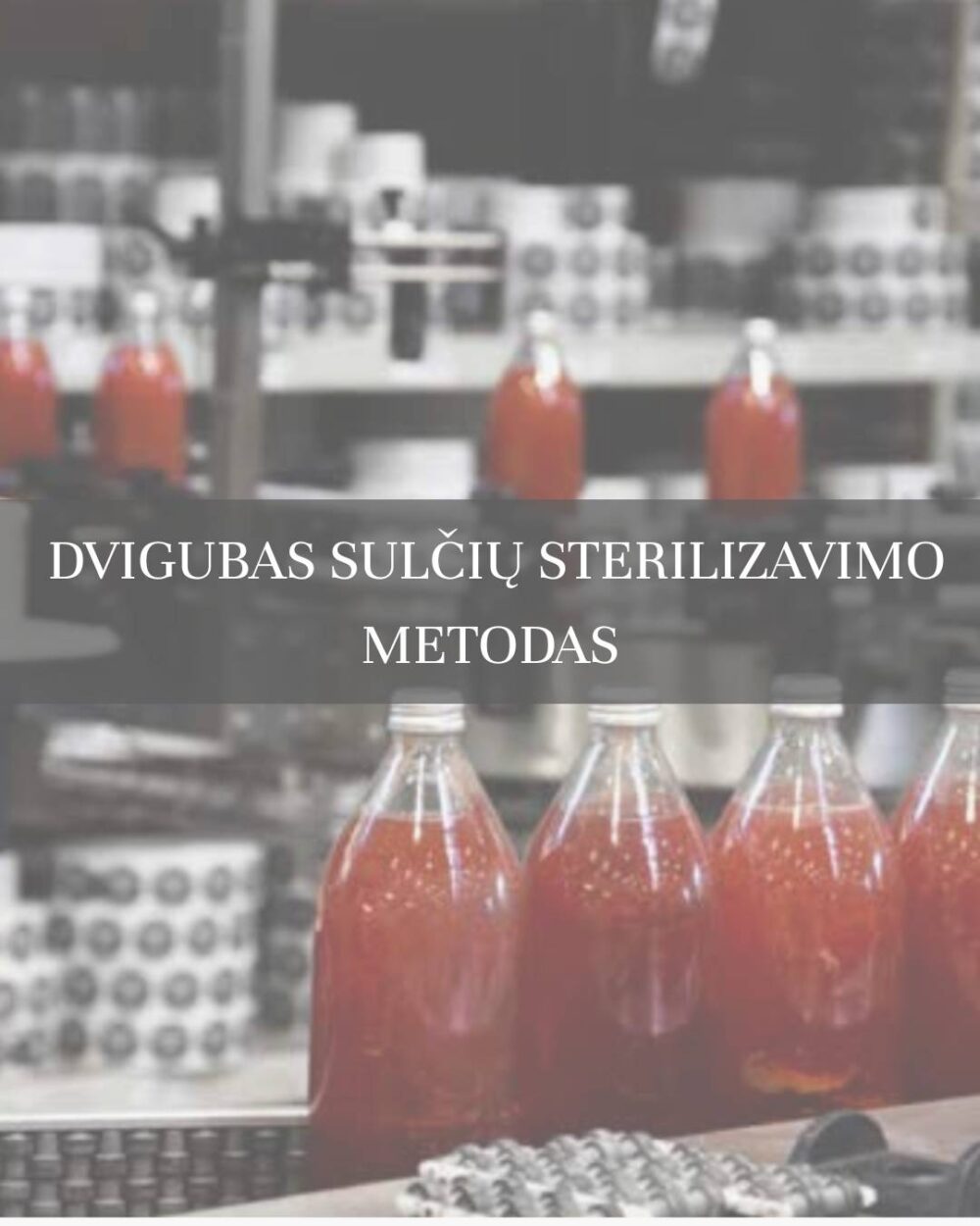Vynuogių sulčių rinkinys - 3x250ml